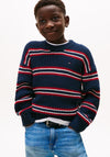 Tommy Hilfiger Boy Knit Long Sleeve Sweater, Navy