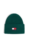 Tommy Hilfiger Kids Heritage Knit Hat, Green