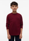 Tommy Hilfiger Boy Essential Long Sleeve Top, Wine