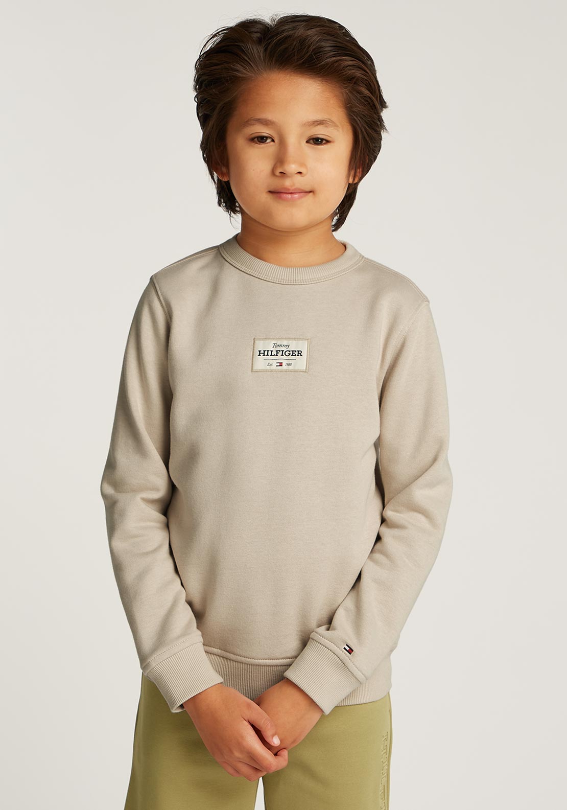 Tommy Hilfiger Boy Long Sleeve Sweater, Beige