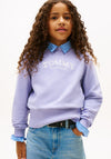 Tommy Hilfiger Girl Long Sleeve Sweater, Purple