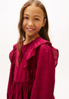 Tommy Hilfiger Girl Long Sleeve Ruffle A Line Dress, Wine