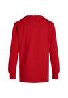 Tommy Hilfiger Boy Long Sleeve Monotype Top, Red