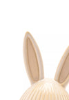 Widdop Bingham Eggs-traordinary Gift Co. Easter Egg with Bunny Ears Ornament, 16cm