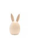 EASTER EGG WITH BUNNY EARS
