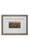 Wild Goose To Light A Path Framed Art