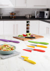 6 PIECE KNIFE SET