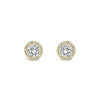 Absolute Gold Diamante Stud Earrings, JE236GL