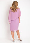 Allison Chiffon Overlay Midi Dress, Pink