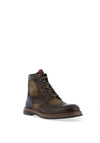 AMBITIOUS Btr Brouge Boots, Brown Multi