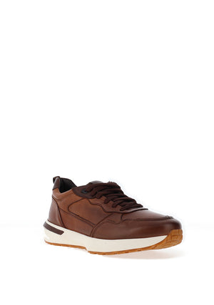 Anatomic & Co Archetti Cielo Trainers, Brown