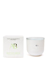 Aromabotanical Aventurine Crystal Infused Botanical Wax Candle