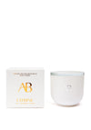 Aromabotanical Citrine Crystal Infused Botanical Wax Candle