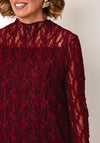 Bianca Textured Mesh Long Sleeve Top, Dark Red