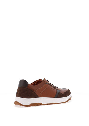 Dubarry Skater Laced Casual Shoes, Tan