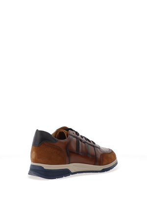 Dubarry Sarris Trainers, Tan