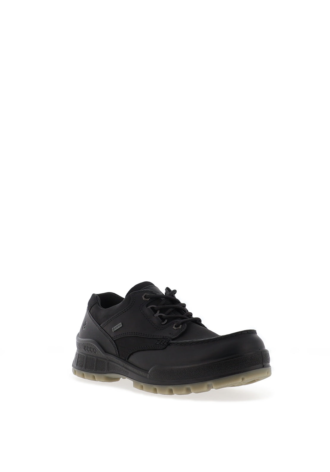 Ecco Men’s Track 25 Gore-Tex Shoes, Black