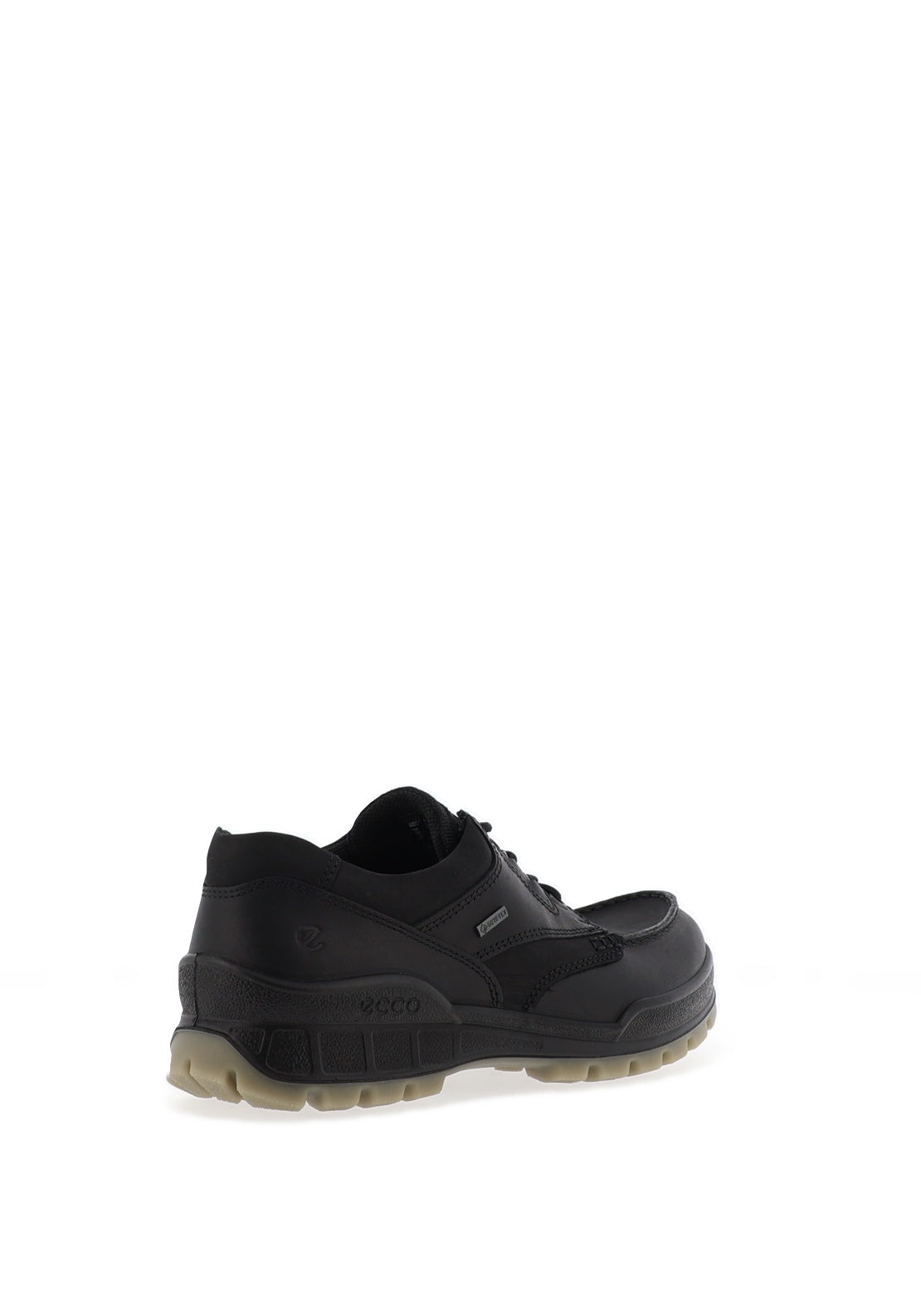Ecco Men’s Track 25 Gore-Tex Shoes, Black