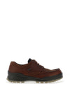 Ecco’s Men’s Gore-Tex Leather Waterproof Shoe, Brown