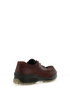 Ecco Men’s Track 25 Gore-Tex Shoes, Dark Brown