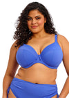 Elomi Plain Sailing Plunge Bikini Top, Blue