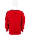 Dromore National School Long Sleeve Sweater, Red