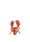 IHR Lobster 20 Piece Napkins, White