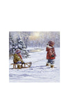 Ihr Winter Sleigh Ride Napkins, White