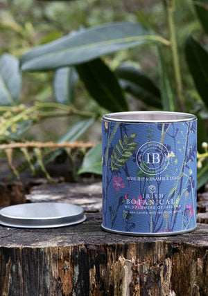 Irish Botanicals Candle Tin 230g, Rose Hip & Bramble Leaf