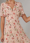 Jolie Moi Charlotte Pleated Floral Chiffon Dress, Pink