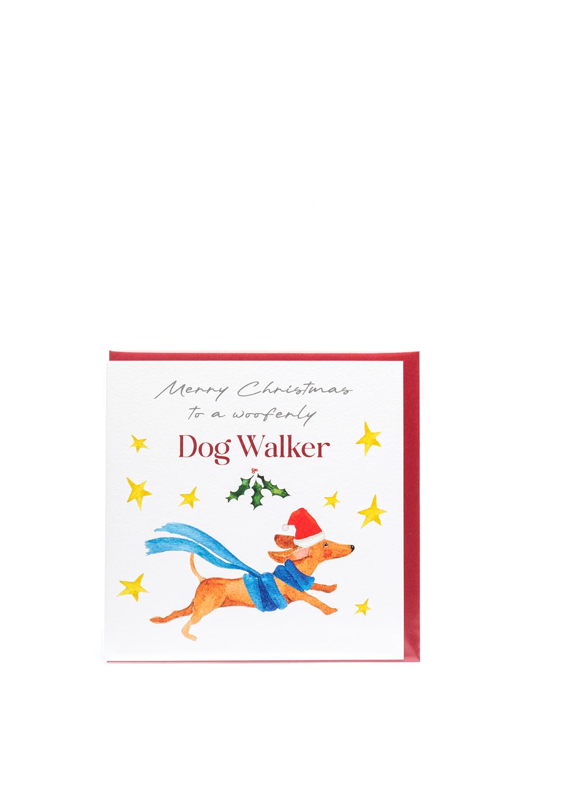 Langs To A Wonderful Dog Walker Christmas Card
