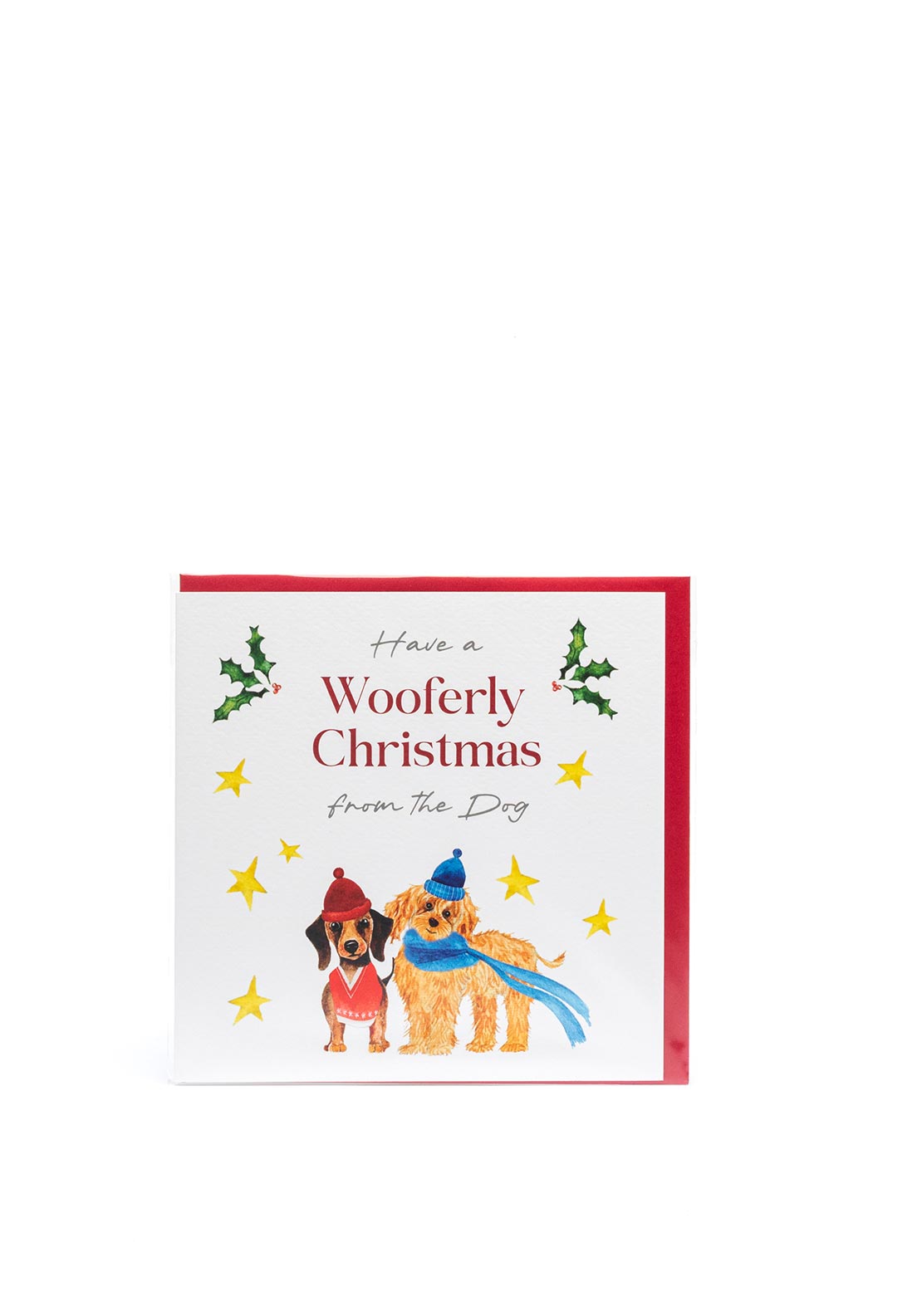 Langs From The Dog Christmas Card