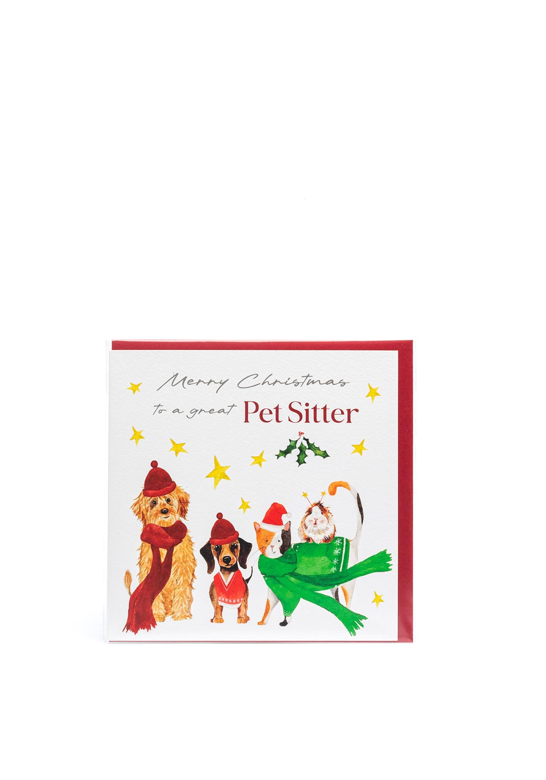Langs To A Great Pet Sitter Christmas Card