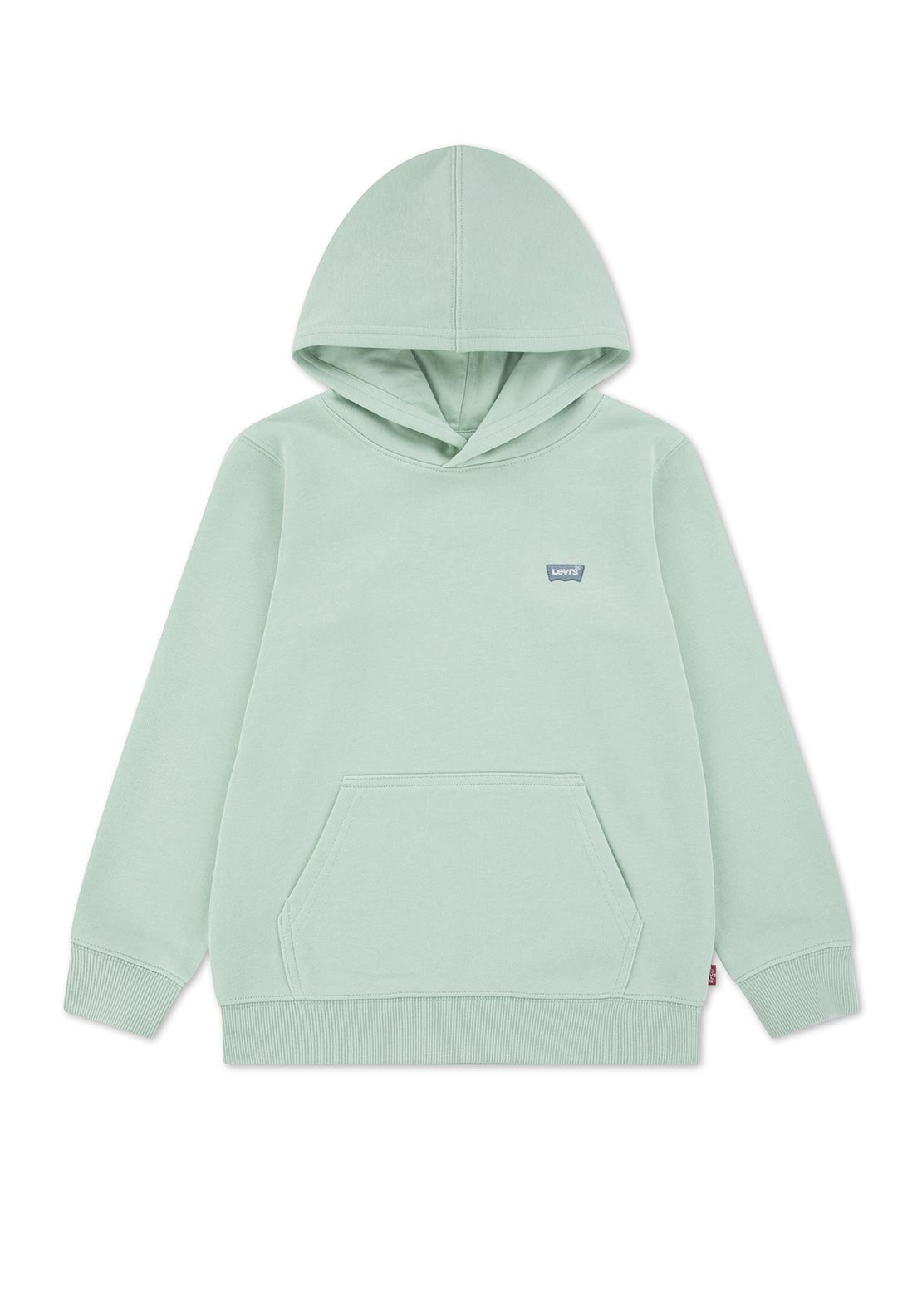 Levi’s Mini Boy Batwing Long Sleeve Hoodie, Green