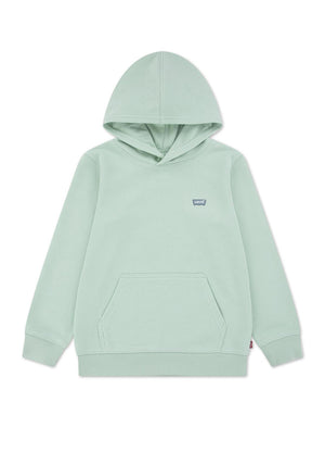 Levi’s Mini Boy Batwing Long Sleeve Hoodie, Green
