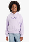 Levi’s Girls Poster Logo Long Sleeve Hoodie, Purple Rose