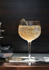 Luigi Bormioli Set of 2 Mixology Spanish Gin & Tonic Glasses, 27oz