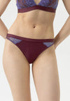 Mey Serie Poetry Dream Lace Hipster Brief, Wine