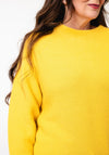 Monari Round Neck Cotton Jumper, Yellow