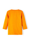 Name It Baby Boy Lasio Long Sleeve Top, Autumn Maple