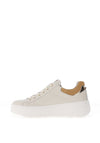 Nero Giardini Leather Chunky NG Laced Trainers, Beige