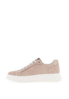 Nero Giardini Suede Leather Platform Trainers, Taupe