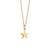 Newbridge Star Pendant Necklace, Gold