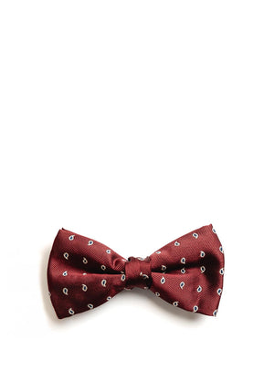 One Varones Boys Bow Tie and Pocket Square Set, Wine
