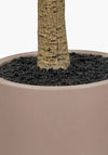 Pacific Large Faux Olive Tree in Pot, Taupe
