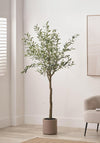 Pacific Large Faux Olive Tree in Pot, Taupe