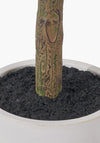 Pacific Medium Faux Olive Tree in Pot, Taupe