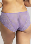 Panache Envy Lace Brief, Violet