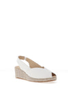 PITILLOS LADIES SHOES