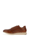 Paul O Donnell by Pod Rainer Leather Trainers, Cognac